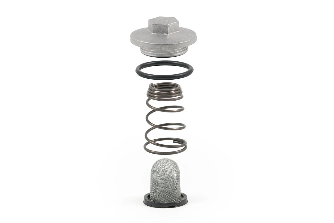 Ölfilter Komplett 50ccm/125ccm (Schraube, Dichtung, Feder u. Filter)